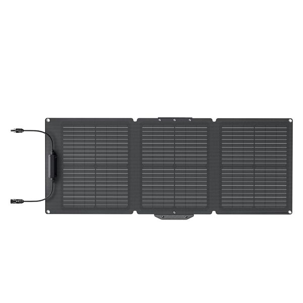 Pannello Solare 60w - Ecoflow - ECW.EFSOLAR60