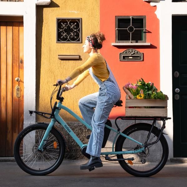 Ebike 36v 13ah Cargo Mid Motor C2 Nilox Urban Fighter - 30NXEBCMMV1