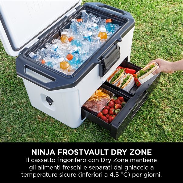 Frigo Portatile Ninja Frostvault 47lt - Bianco - Ninja - NNJ.FB151EUWH